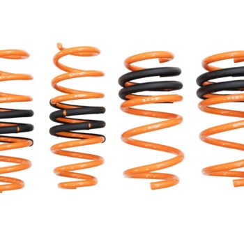 Megan Street-Version Lowering Springs Kit For 19+ Tesla Model Y AWD